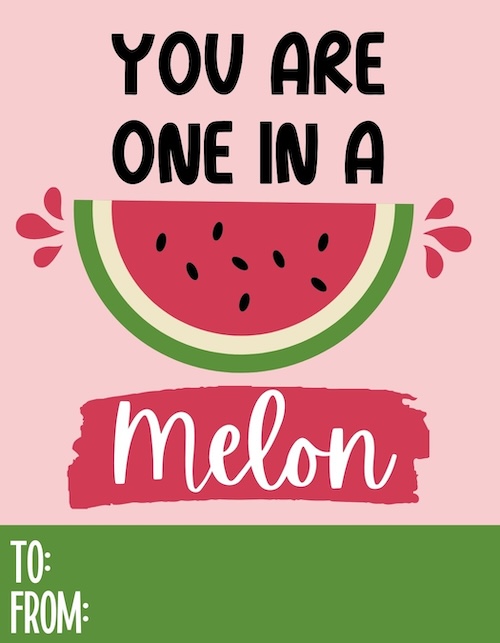 Slice of watermelon with text reading 'You are one in a melon' on a pink background with green accents.